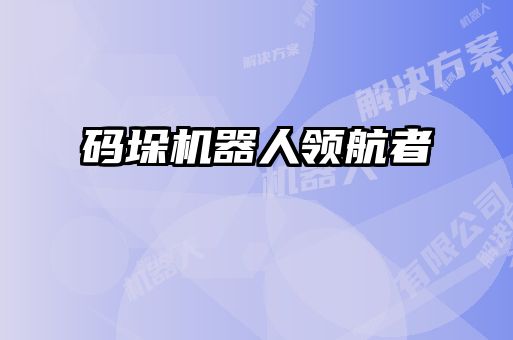 碼垛機器人領(lǐng)航者